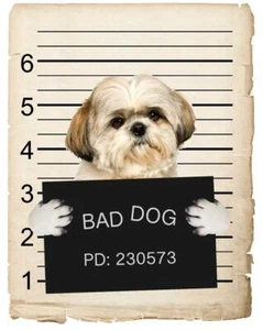 Shih Tzu Mugshot perro malo nevera imán coche - Imagen 1 de 6