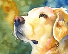 Golden Retriever Gifts | Art Print from Painting, Poster, Home Decor 11x14