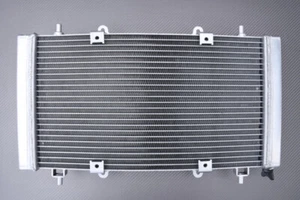 Reinforced Racing Replacement Water Radiator Cooling HISUN SECTOR 450 2015-2022 - Picture 1 of 5