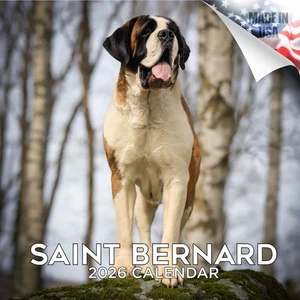 SAINT BERNARD Wall Calendar 2026 Animal DOG PET Lover Gift - Picture 1 of 2