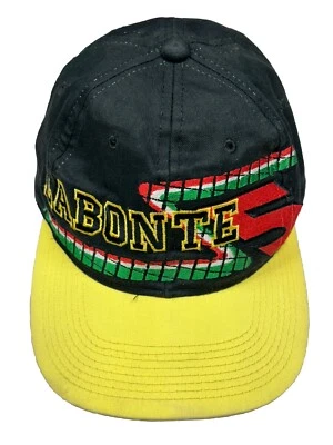 Vintage Terry LaBonte 5 Nascar Snapback 90’s 90s Racing Competitors View 50th - Image 1 of 4