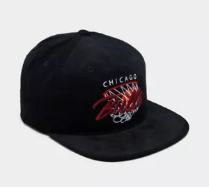 Mitchell & Ness Chicago Bulls Team Logo Cap - Picture 1 of 5