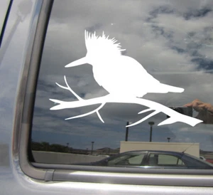 Kingfisher Bird - Paradise Car Laptop Bumper Window Vinyl Decal Sticker 01432 - Foto 1 di 2