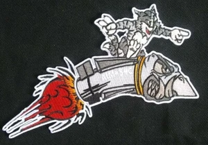 F-14 TOMCAT AIM-54C Phoenix AAM Air to Air Missile Grumman Military PATCH - Picture 1 of 4