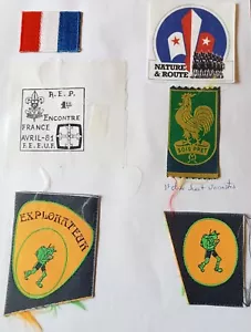 LOTE DE 6 INSIGNIAS SCOUTS, BADGES SCOUTS DE FRANCIA # 1722 - Imagen 1 de 1