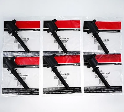 Bobina de encendido 6 piezas nueva OEM DG-513 2M2Z-12029-AC para Escape Freestyle Taurus Foto 1 de 4
