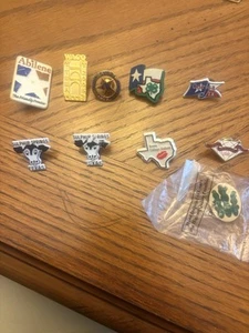 10 Texas Towns Lapel Pins - Picture 1 of 3