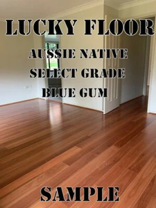 14mm Blue Gum Sample Engineered Hardwood Timber Flooring Floating Floorboard - Picture 1 of 9
