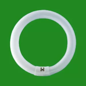 1x 22W G10q 4-Pin T9 Round 210mm Circular Lamp Fluorescent Tube Ring Light Bulb - Picture 1 of 1