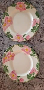 Vintage Franziskaner Wüstenrose Mittagessen Teller 9 1/2" 2er Set Wie Ist - Bild 1 von 5