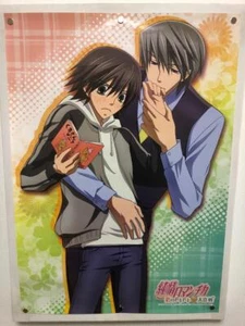Junjo Romantica B2 Poster - No Pinholes, New Condition, Item Photos Included - Picture 1 of 6