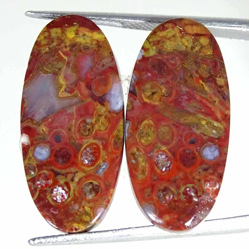 22.10Cts Natural Red Palm Root Agate Oval Pair Cabochon Loose Gemstone 12x25x4mm - Image 1 of 4