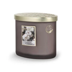 Heart and Home Soy Blend Ellipse 2-wick Candle COTTON BLOSSOM lily, cotton, musk - Picture 1 of 3