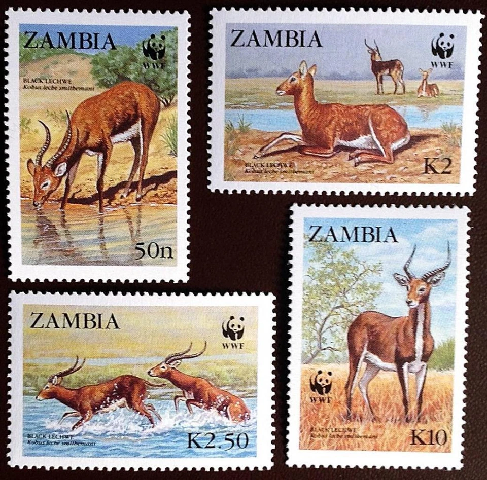 ZAMBIA 1987 WWF / ANIMALS SC#427-30 mnh neuf ANTELOPES 💲FREE SHIPPING💲 - Image 1 of 1