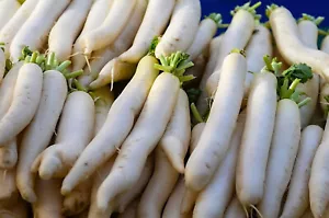 350 Heirloom Daikon Minowase Radish Seeds - Super Fast Growing! Organic NonGMO - Picture 1 of 5