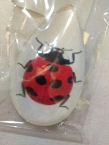 Kühlschrankmagnet Marienkäfer im Glas 2,5" - Brandneu - Bild 1 von 2