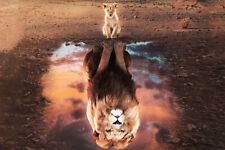 Lion Cub And Lion Reflection In Water Animals Wall Home Decor - POSTER 20"x30"