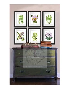 Juego de 6 Impresiones Botánicas Helechos Orquídeas Decoración Salón Colgante de Pared - Imagen 1 de 10
