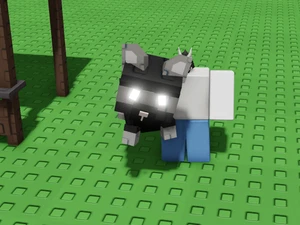 Umgekehrter Waschbär 🦝Zufälliges Alter🦖Zufälliges Gewicht🦖 GROW A GARDEN🎮 Schnelle Lieferung🚀 - Bild 1 von 2