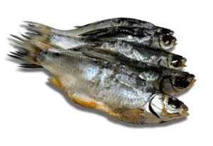 1 kg Wobla Вобла Plötze Fisch getrocknet gesalzen Kasachstan n. ausg. Bier 12 cm - Bild 1 von 3