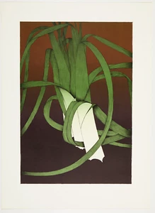 Original limited edition Art Hansen lithograph Leeks - Picture 1 of 5