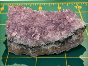 Nice! 3" x 2" Amethyst Cluster on Geode Matrix - Artigas, Northern Uruguay - Picture 1 of 8