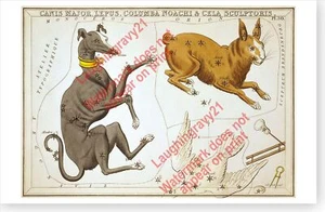 Canis Major, Lepus, Columba Noachi & Cela Sculptoris Antik Astronomie Poster - Bild 1 von 1