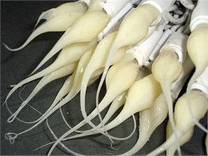 Candylights silicone dipped light strands, various colors to choose from - Picture 1 of 16