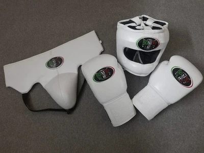 No Boxing No Life Sparring Set Boxing gloves Nose Bar Head Guard & Groin Guard - image 1 of 4