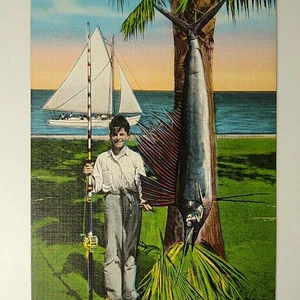 Florida Linen Postcard - Captain Bill Fishing Guide Sailfish Advertising Miami 3 - Picture 1 of 3