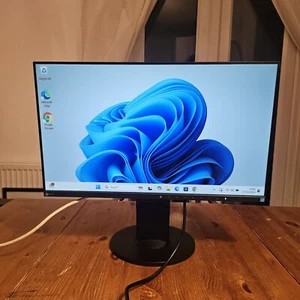 EIZO FlexScan EV2450 23.8" Full HD LED IPS Monitor - Black - Picture 1 of 11