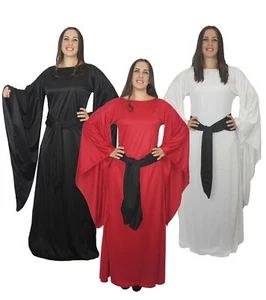 Womens Medieval Maiden Dress Old English LARP Fancy Dress Costume - Picture 1 of 4