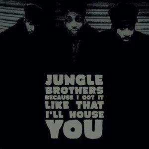 Jungle Brothers Because I Got it Like That 7" Vinyl Record Store Day 2020 - Foto 1 di 1