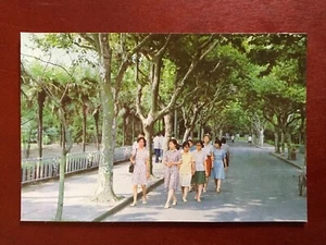 China Vintage Postcard Thoroughfare on Campus Fudan University photo by Kuoqing. - Picture 1 of 2