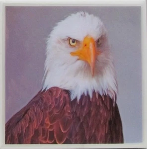 Juego de 1 - Posavasos de azulejos de cerámica hechos a mano - Eagle (Compra 3 y obtén 1 gratis) 2D - Imagen 1 de 6