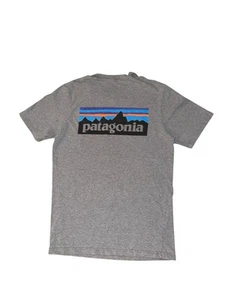 Patagonia T-Shirt Size S Box Logo Regular Fit Double Sided Grey Graphic Tee - Picture 1 of 7