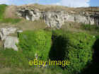 Photo 6X4 Limestone Quarry, St Aldhelm's Head Worth Matravers Ivy Coverin C2006