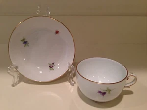 Hochst Hand-Painted Porcelain Insects & Flowers Cup/Saucer C Made In Germany New - Picture 1 of 12