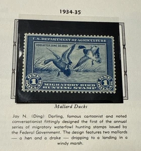 RW-1 Mint W/Gum L.H First Federal State Duck Stamp By Jay N. Darling-￼ Free Ship - Picture 1 of 3