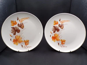 Zwei Vintage USA Salem Herbst Blätter Muster Essteller 10" Ironstone F25 - Bild 1 von 10