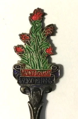 Pincel, Wyoming - Cuchara de recuerdo vintage coleccionable Foto 1 de 3