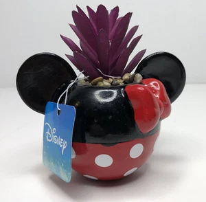 Disney Minnie Mouse Faux Succulent Terrarium New w/ Tags 4” X 4” Ceramic - Picture 1 of 7