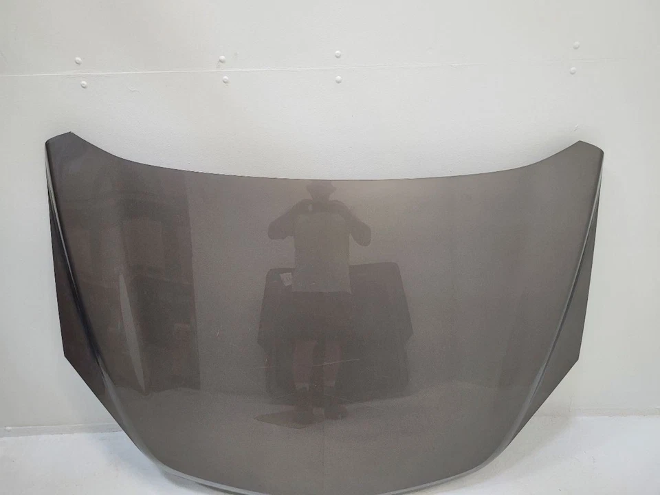 2010 2011 2012 2013 2014 2015 2016 2017 CHEVROLET EQUINOX Hood GRAY Foto 1 de 4