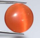 Rund Orange der Katze Auge 19.40 Karat Edelstein Natürlich Zertifiziert B63739