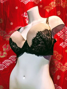 Delta Burke Full Bust/Coverage Plunge Bra in Beige/Black Lace, Sz 40D - Picture 1 of 6