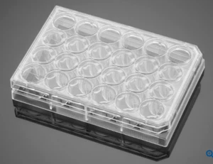 Falcon/Corning 24-well Clear Flat Bottom Culture Plate (50) 353047 - Picture 1 of 4