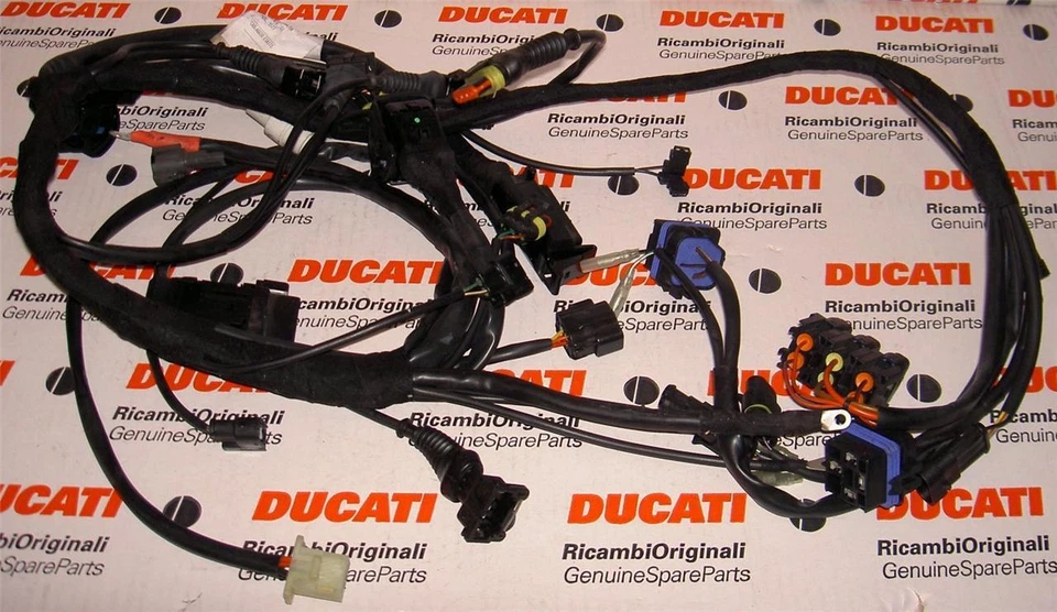 2004 Ducati ST3 Sport Touring 51012651A main wiring harness, factory brand new * - Изображение 1 из 1