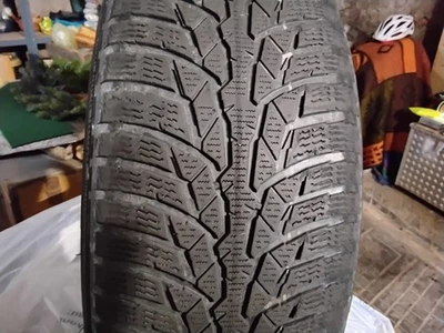 Nokian WR D4 225/55 R17 97H M+S  - Bild 1 von 3