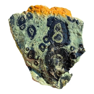 Kambaba Jaspis Rough Chunk Large Orbicular Patterns Prime Cutting Material - Bild 1 von 5