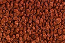 Alfombrillas Challenger Dart logotipo bordado 80/20 bucle alfombra 4 piezas Dodge 1963-76 Foto 1 de 4